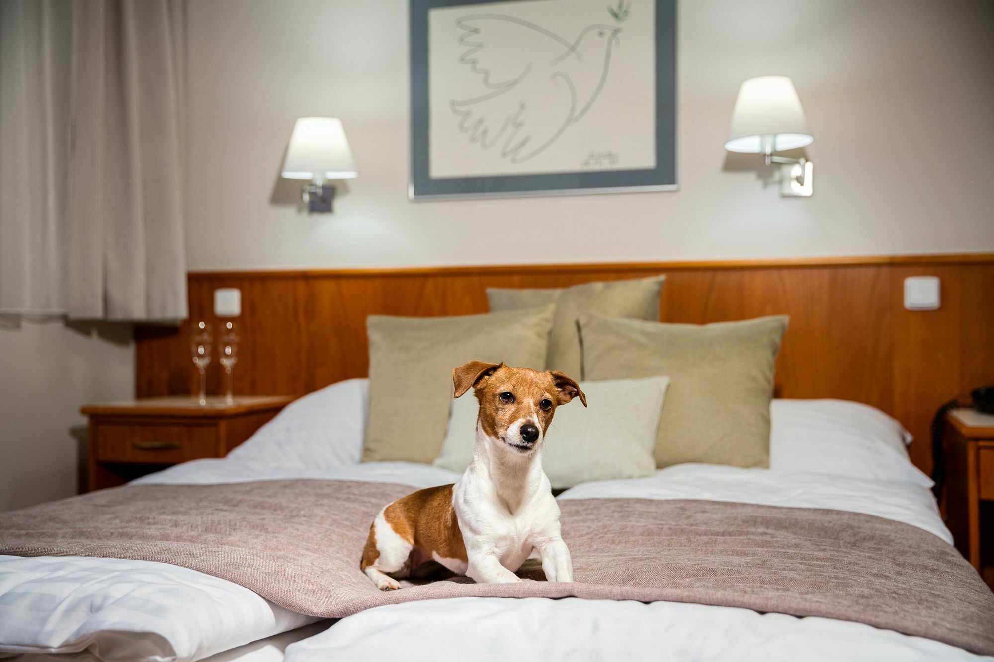 Snezka Hotel 4*